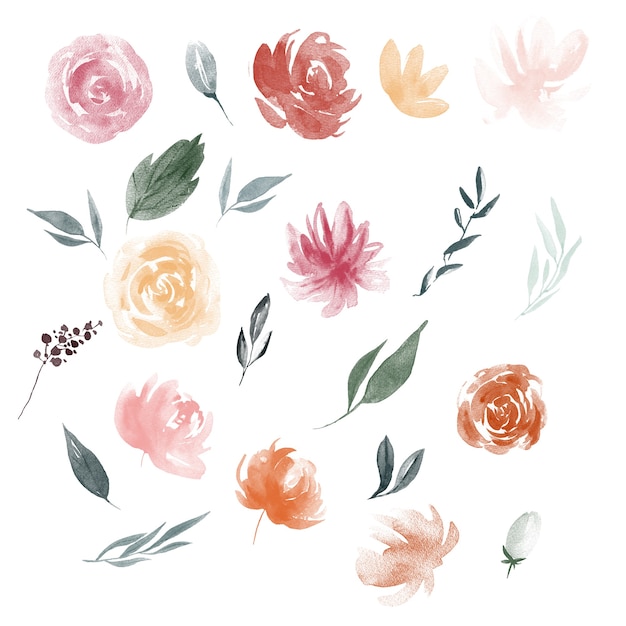 Photo watercolor flower elements bloom illustrations leaves and brunches