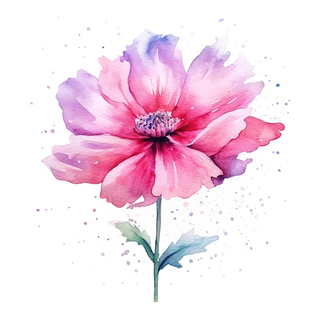 watercolor flower on white background