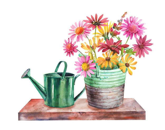 Watercolor flowers Bouquet of colorful chrysanthemums in a wicker basket and garden watering can