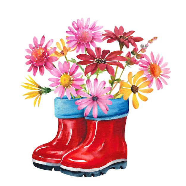 Photo watercolor flowers bouquet of multicolored chrysanthemums in red boots