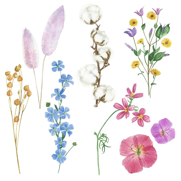 Watercolor flowers floral paint illustration with clipping parts