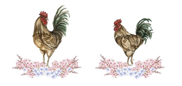 Watercolor flowers and rooster composition Hand drawn illustration of a farm