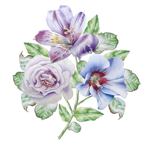 Watercolor flowers on a white background