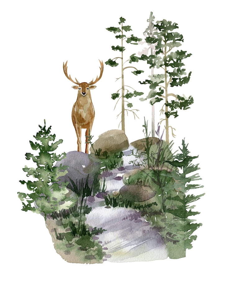 Photo watercolor forest with deer woodland composition