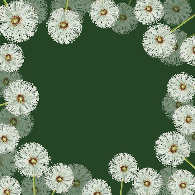 Watercolor frame of dandelions flowers and green leaves Hand painting clipart botanical meadow illus