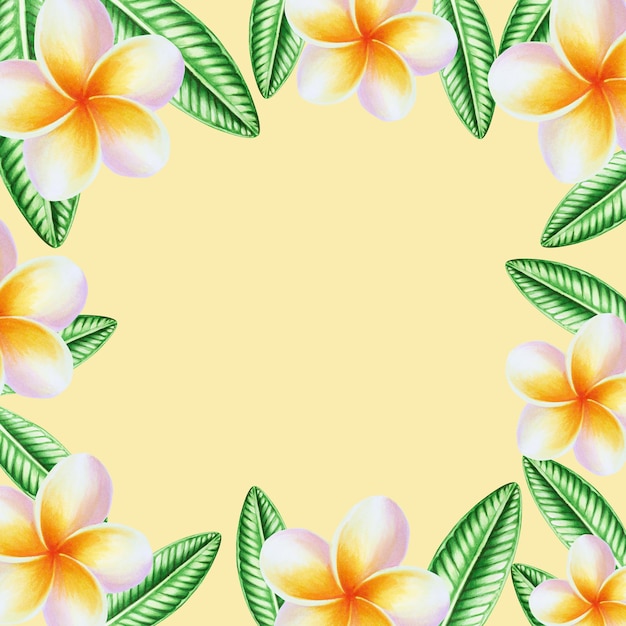 Акварельная рамка реалистичная тропическая иллюстрация цветов плюмерии с листьями, изолированными на белом b