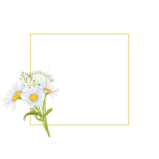 Photo watercolor frame with daisies and wild herbs