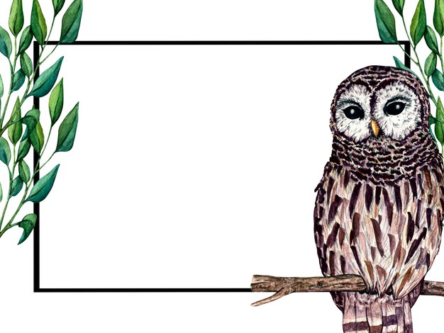 Акварельная рамка с совой на белом фоне Иллюстрация природы для детского дизайна