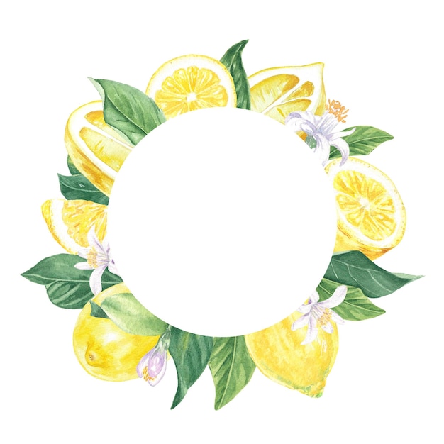 Watercolor frames lemon, flowers, leaf, hand-painted in botanical style for use in design food