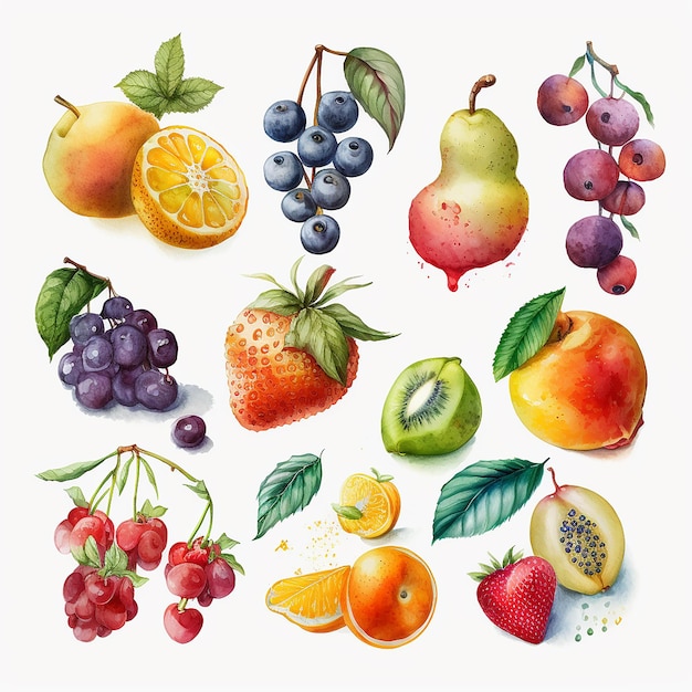 Watercolor fruits on a white background