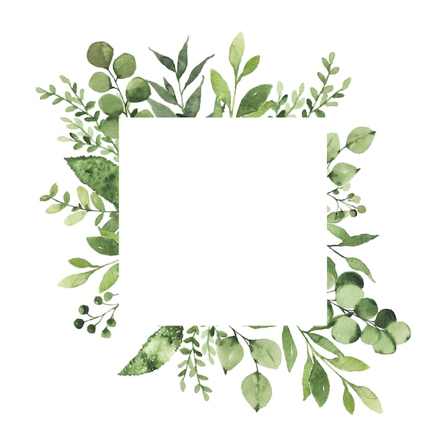 Photo watercolor geometrical frame with greenery leaves branch twig plant herb flora isolated