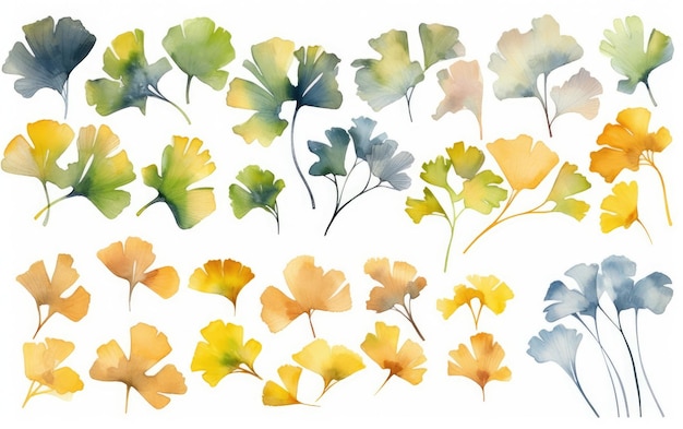 Watercolor ginkgo leaves clipart for graphic resources Generative AI