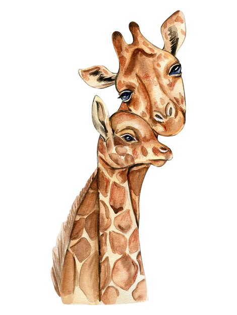 Foto illustrazione della giraffa dell'acquerello animale tropicale del fumetto