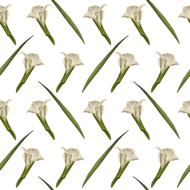 Watercolor gladiolus seamless pattern hand drawn digital illustration of flowers on white background