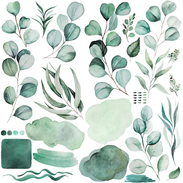 Photo watercolor green eucalyptus leaves lines and spots illustration isolated elements for wedding design greetings cards crafting