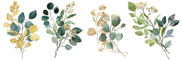 Watercolor green and gold seeded Eucalyptus bouquets. Spring greenery. Wedding floral illustration.