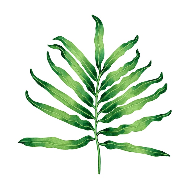 Watercolor green leaves background