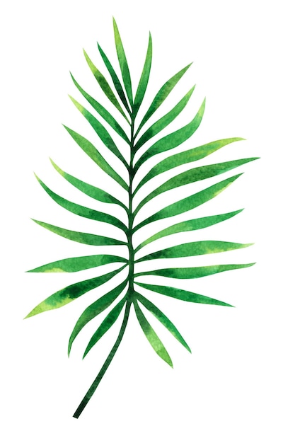 Watercolor green leaves background.