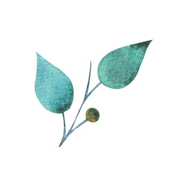 Watercolor green mint leaves isolated element