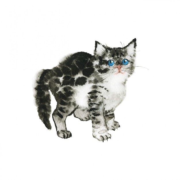 Photo watercolor grey fluffy kitten. hand drawn british shorthair cat on white