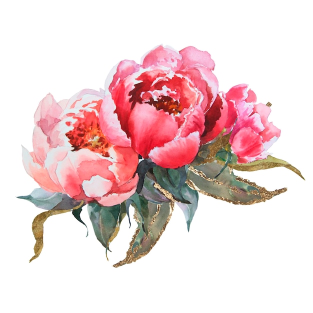 Watercolor hand drawing pink peonies bouqet with golden potal on white background bouquet perfectly