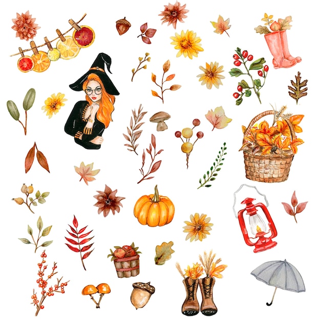 Photo watercolor hand drawn autumn leaves and pumpkins