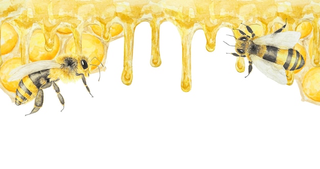 watercolor hand drawn bee isolated on white background