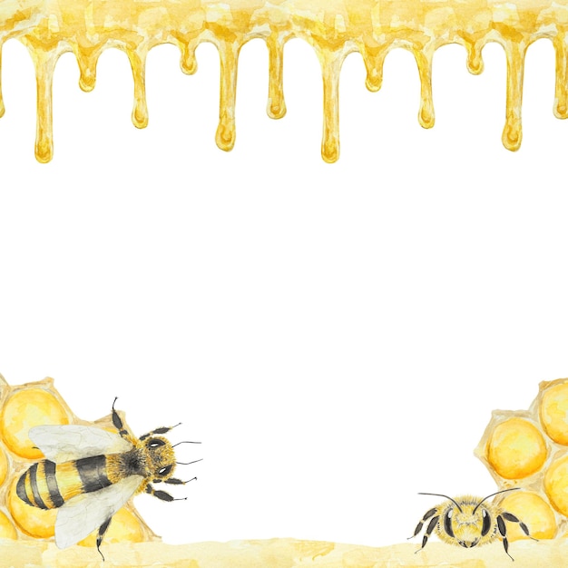 Photo watercolor hand drawn bee isolated on white background