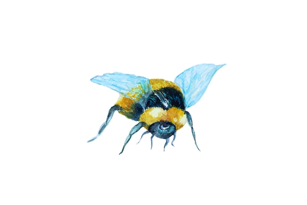 Watercolor hand drawn bumblebee