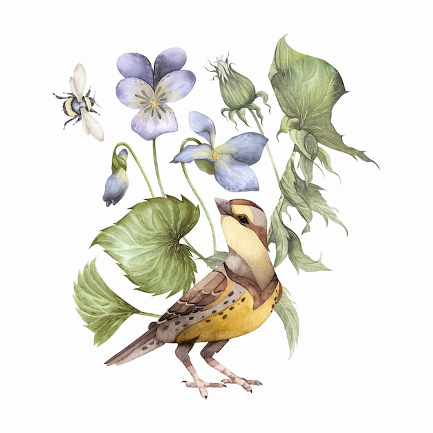 Watercolor hand drawn composition with bird bumblebee and flowers Isolated on white background