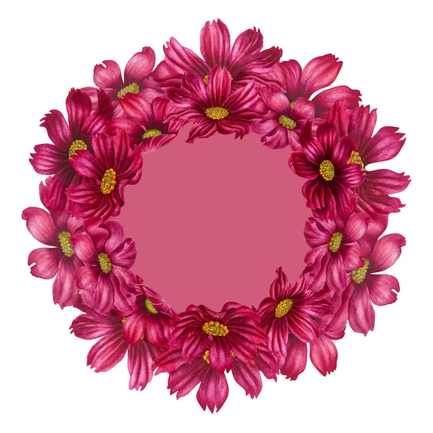 Watercolor hand drawn cosmea flower gold frame in trendy color viva magenta.