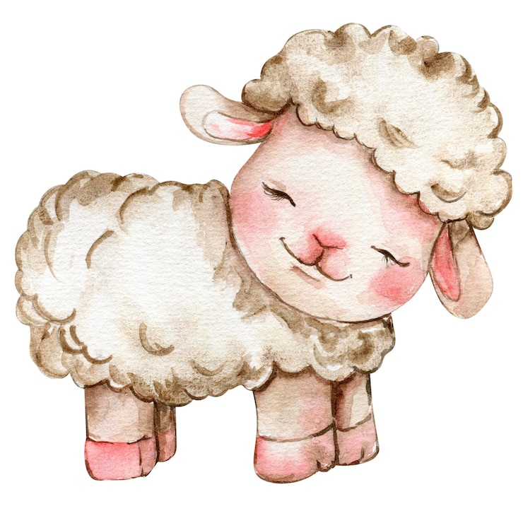 Photo watercolor hand drawn cute white fluffy sheep