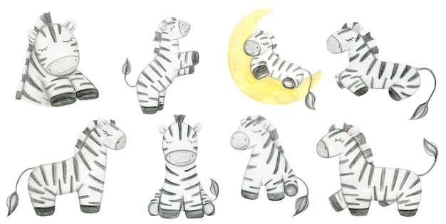 Watercolor Hand Drawn Cute Zebras Set Safari Animals Illustration