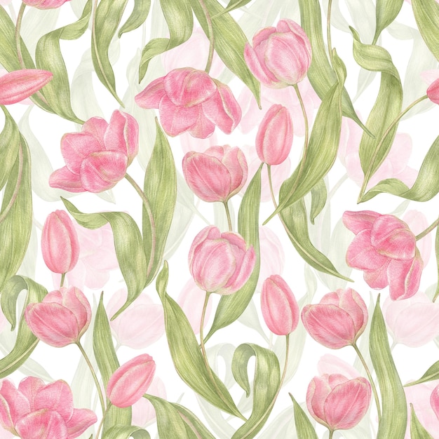 Watercolor hand drawn flowers tulips seamless pattern Spring Botanical illustration background