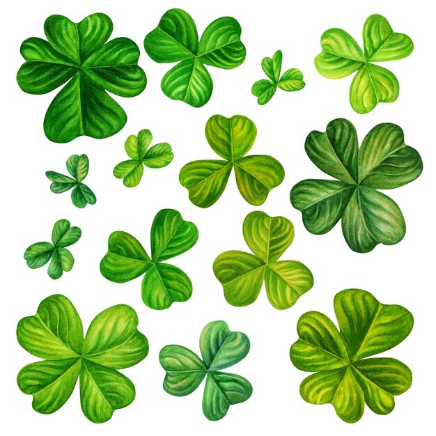 Watercolor hand drawn four leaf clover set for St. Patrick's Day for good luck.