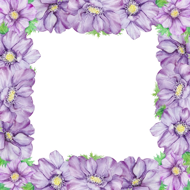 Watercolor hand drawn frame of purple anemones with green leaves isolated on white background