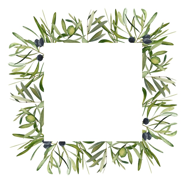 Watercolor hand drawn frame with olive leaf and olives