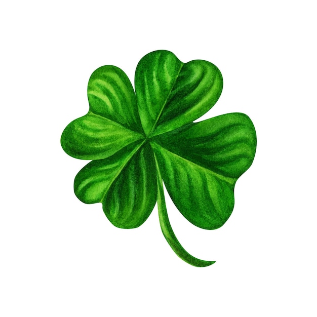 Photo watercolor hand drawn green four leaf clover for st. patrick's day for good luck. element isolated