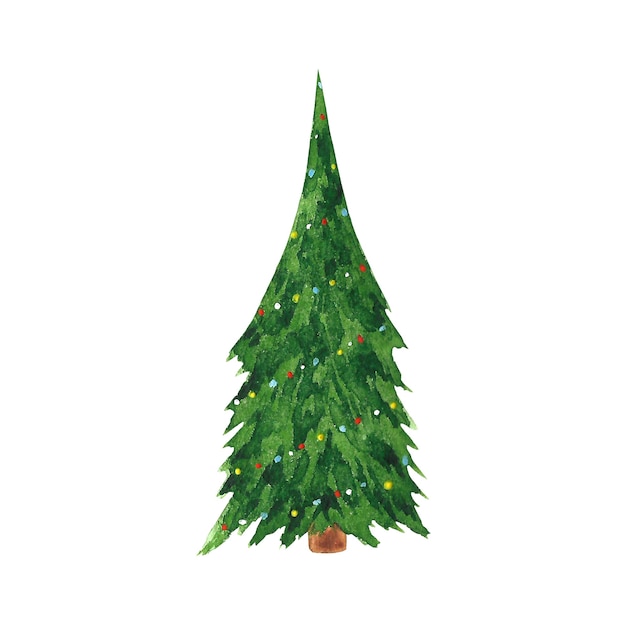 Watercolor hand drawn New year tree clipart. Christmas tree illustration.