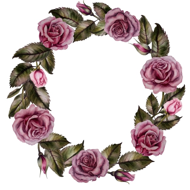 Watercolor hand drawn pink rose wreath with buds and leaves on white background