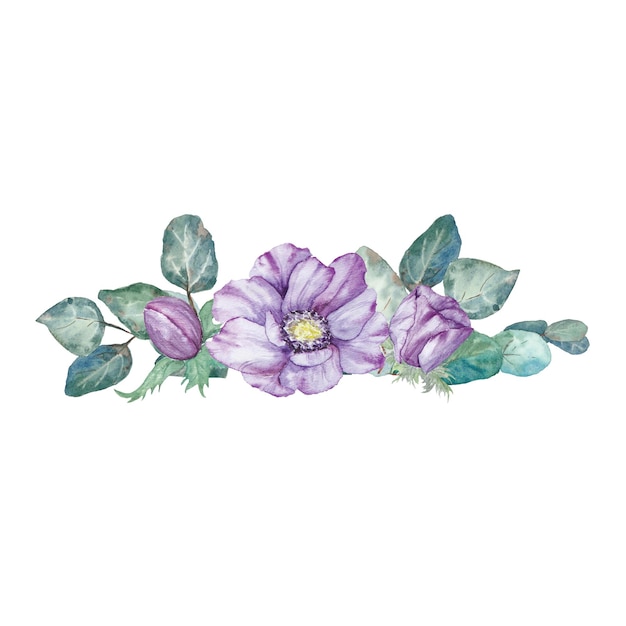 Watercolor hand drawn purple anemones with green leaves isolated on white background