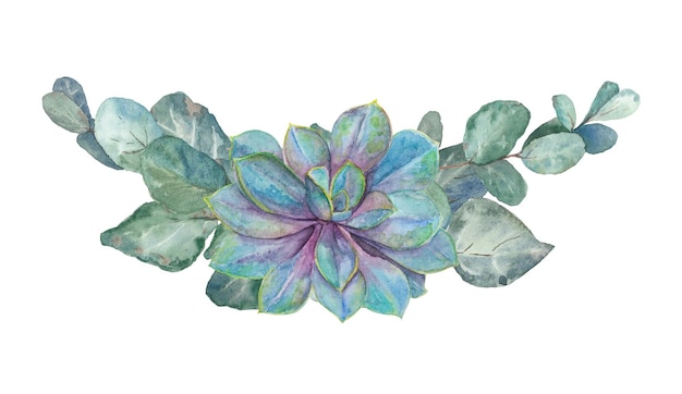 Watercolor hand drawn purple echeveria with green eucaliptus leaves isolated on white background