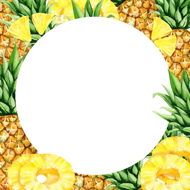 watercolor hand drawn round frame with illustration of pineapple with half and slices ripe pineapple sketch of tropical fruit food illustration isolated on white background