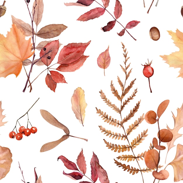 Watercolor hand drawn seamless pattern with autumn leaves and berries