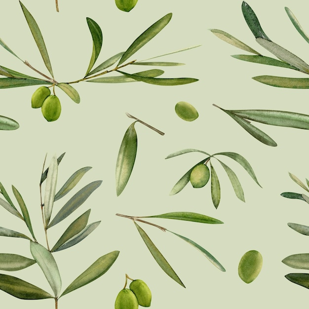 Watercolor hand drawn seamless pattern with olive leaf and olives