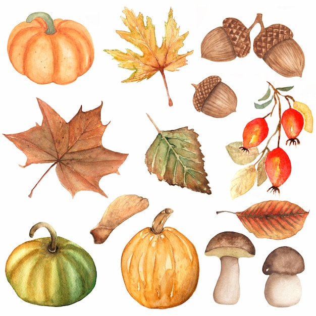 Watercolor hand drawn set of autumn elements