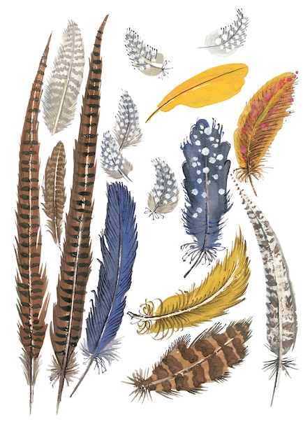 Watercolor hand-drawn set of multicolored feathers isolated on white background