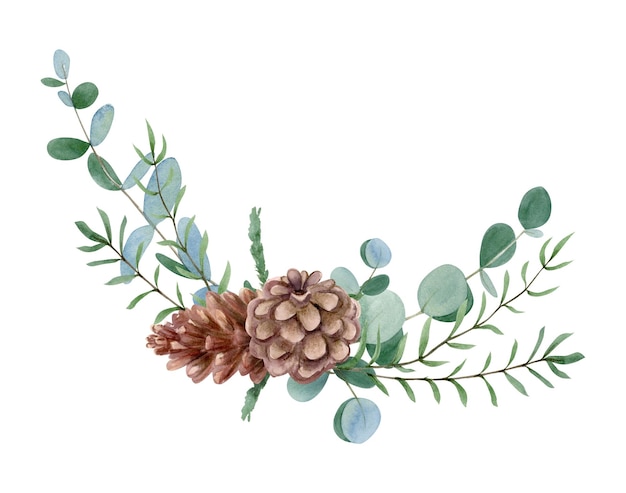 Watercolor hand drawn winter bouquet with eucalyptus leaves cone