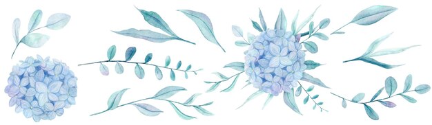 Watercolor hand painted blue flowers hydrangea