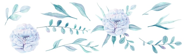 Watercolor hand painted blue flowers peony